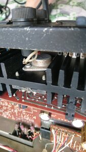 DSC_0818.jpg