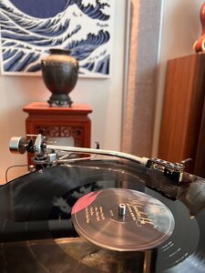 IMG_8428.jpeg