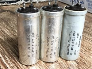 IMG_5294 (Medium).JPG