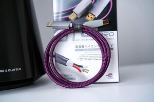IMG_4556.jpeg