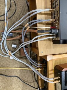 IMG_0297.jpeg