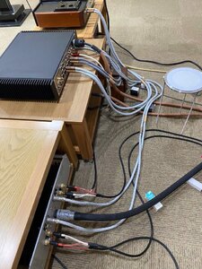 IMG_0295.jpeg