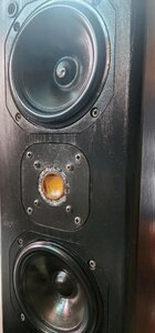 IMG_20241209_091301.jpg