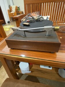 IMG_8280.jpeg