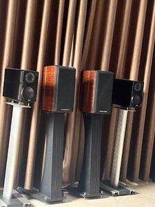 IMG_8004.jpeg