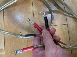 IMG_7739.jpeg