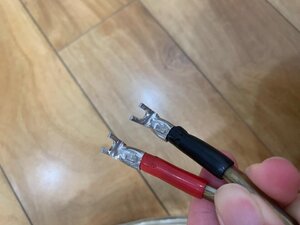 IMG_7737.jpeg