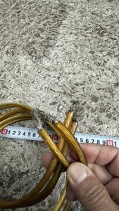 IMG_2452.jpeg