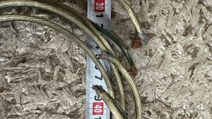 IMG_2474.jpeg