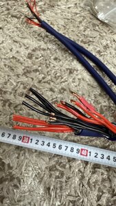 IMG_2476.jpeg