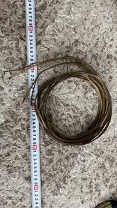 IMG_2478.jpeg
