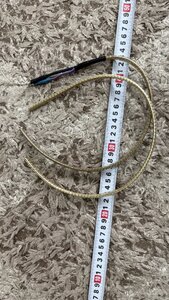 IMG_2490.jpeg