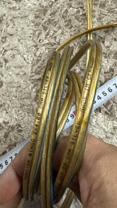 IMG_2485.jpeg