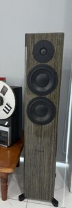IMG_8172.jpeg