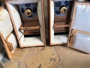 IMG_5592.jpeg