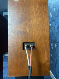 IMG_1180.jpeg