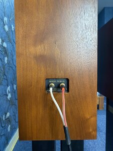 IMG_1179.jpeg
