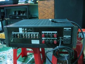 sau amp 1.JPG