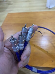 IMG_7879.jpeg