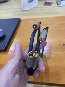 IMG_7882.jpeg