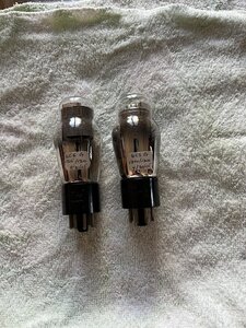 IMG_9376.jpeg