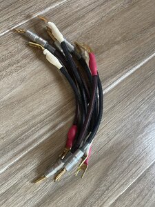 IMG_2489.jpeg
