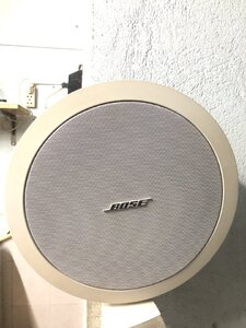 IMG_3211.jpeg