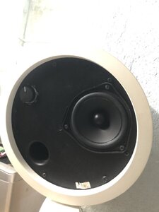 IMG_3207.jpeg