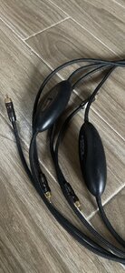 IMG_2261.jpeg