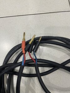 IMG_2211.jpeg