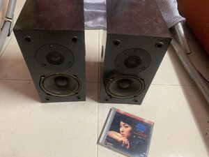 IMG_5429.jpeg