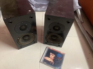 IMG_5430.jpeg