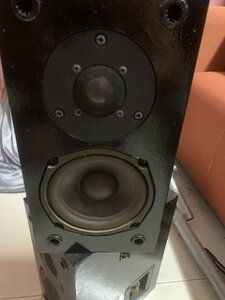 IMG_5433.jpeg
