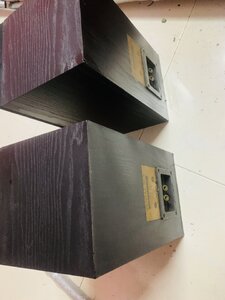 IMG_5440.jpeg