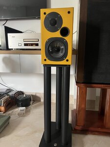 IMG_9896.jpeg