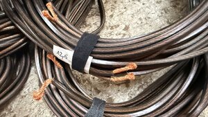 IMG_5298.jpeg