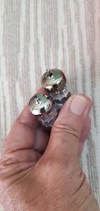 20250524_082430.jpg