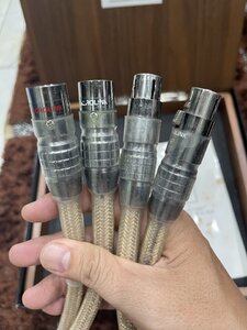 IMG_0230.jpeg
