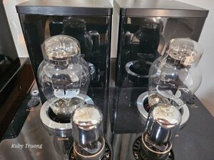 IMG_5509.jpeg