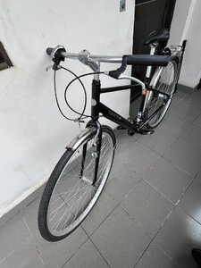 IMG_1770.jpeg