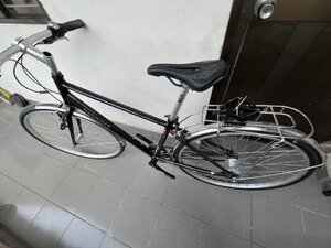 IMG_1771.jpeg