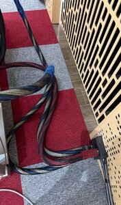 IMG_1791.jpeg