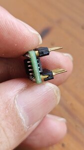 20250614_125448.jpg