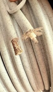 IMG_5984.jpeg