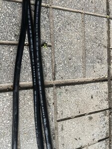 IMG_3238.jpeg
