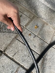 IMG_3239.jpeg