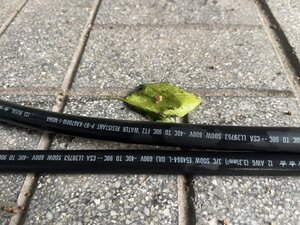IMG_3242.jpeg