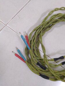 IMG_20250815_071054.jpg