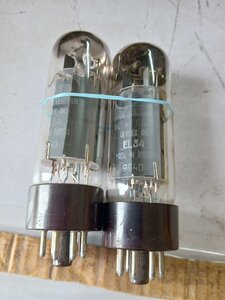 20250819_142843.jpg