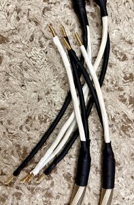 IMG_8398.jpeg